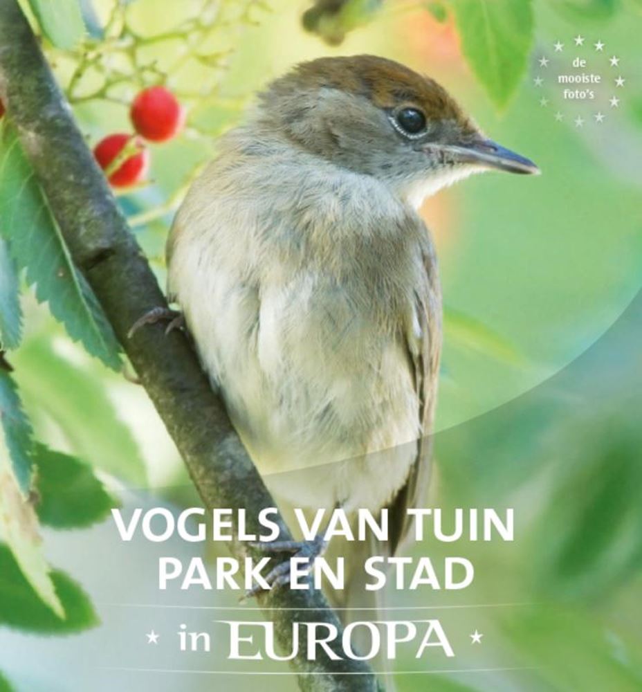 Oiseaux de jardin, parc et ville en Europe