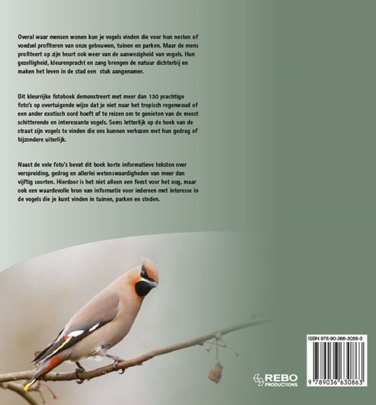 Oiseaux de jardin, parc et ville en Europe