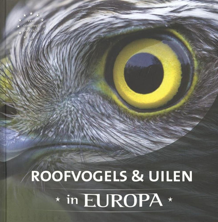 Oiseaux de proie et hiboux en Europe adulte