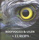 Oiseaux de proie et hiboux en Europe adulte