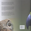 Oiseaux de proie et hiboux en Europe adulte