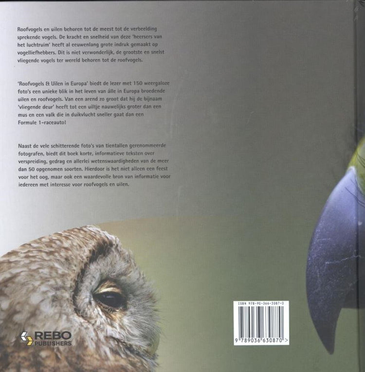 Oiseaux de proie et hiboux en Europe adulte