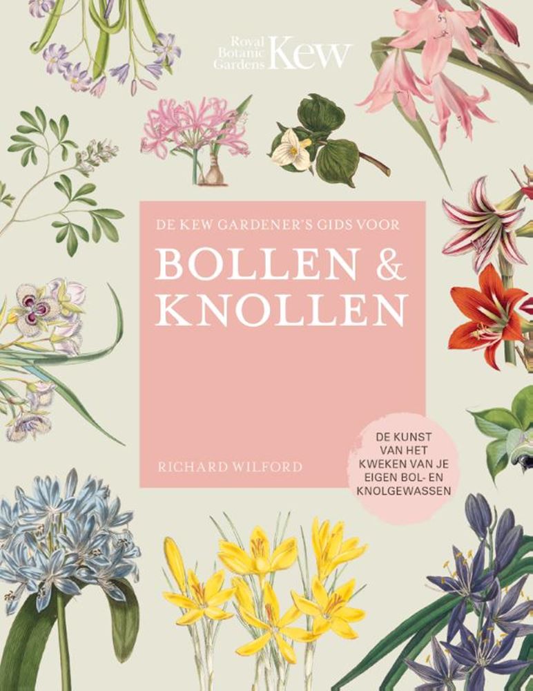 Le guide du jardinier de Kew sur les nœuds des bulbes
