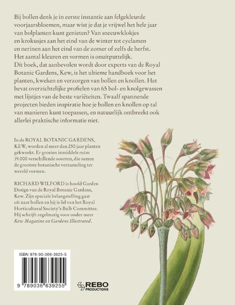 Le guide du jardinier de Kew sur les nœuds des bulbes
