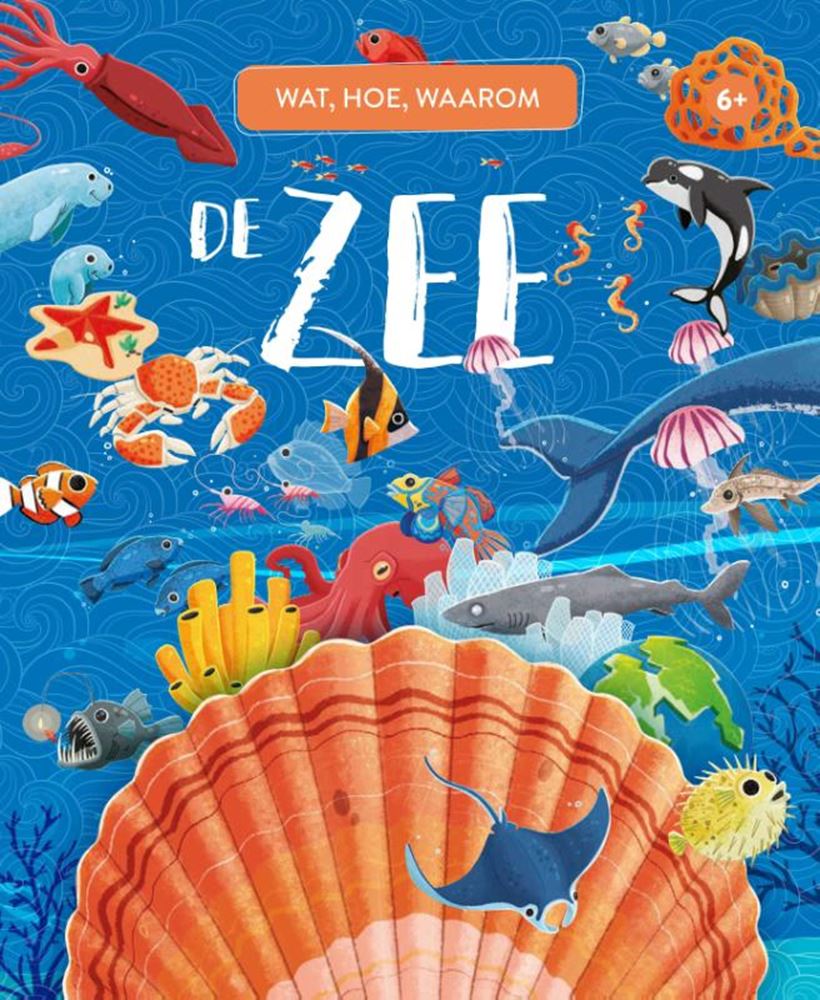 Rebo Publishers the Sea quoi, comment et pourquoi