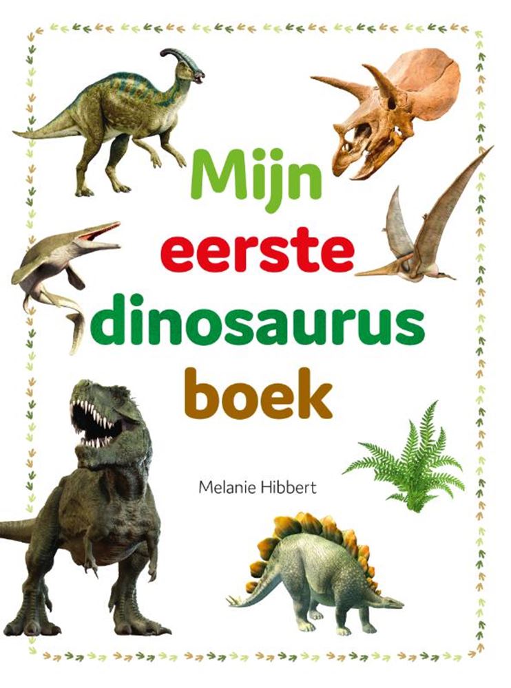Rebo Publishers My First Dinosaur Book
