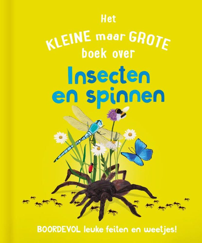 Rebo Publishers Le petit mais grand livre sur? Spinning des insectes