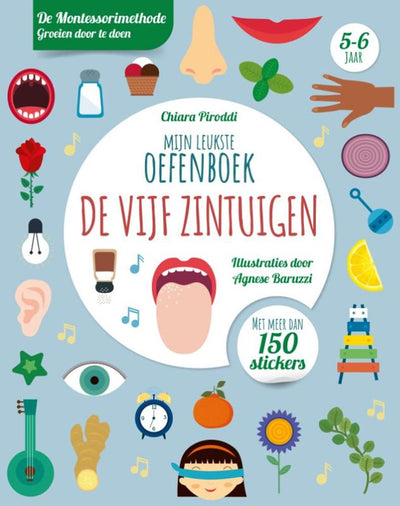 Rebo Publishers Five Senses Leukste Exercice Book