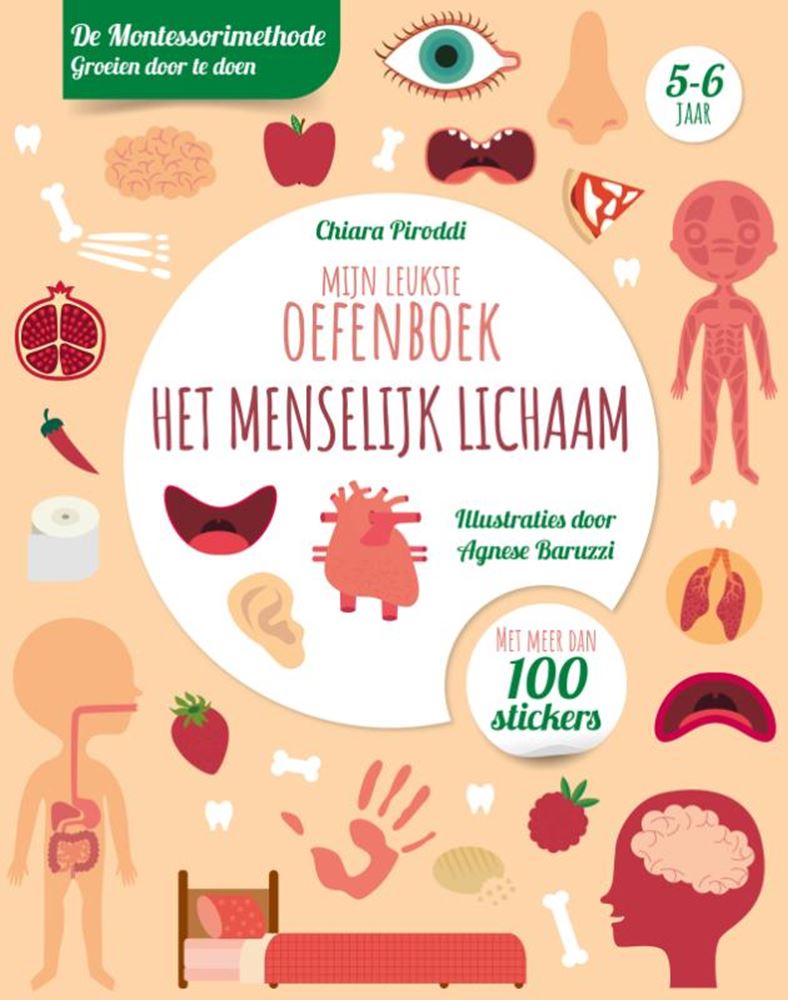 Rebo Publishers Human Body Leukste Exercice Book