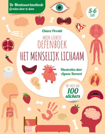 Rebo Publishers Human Body Leukste Exercice Book
