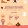 Rebo Publishers Human Body Leukste Exercice Book