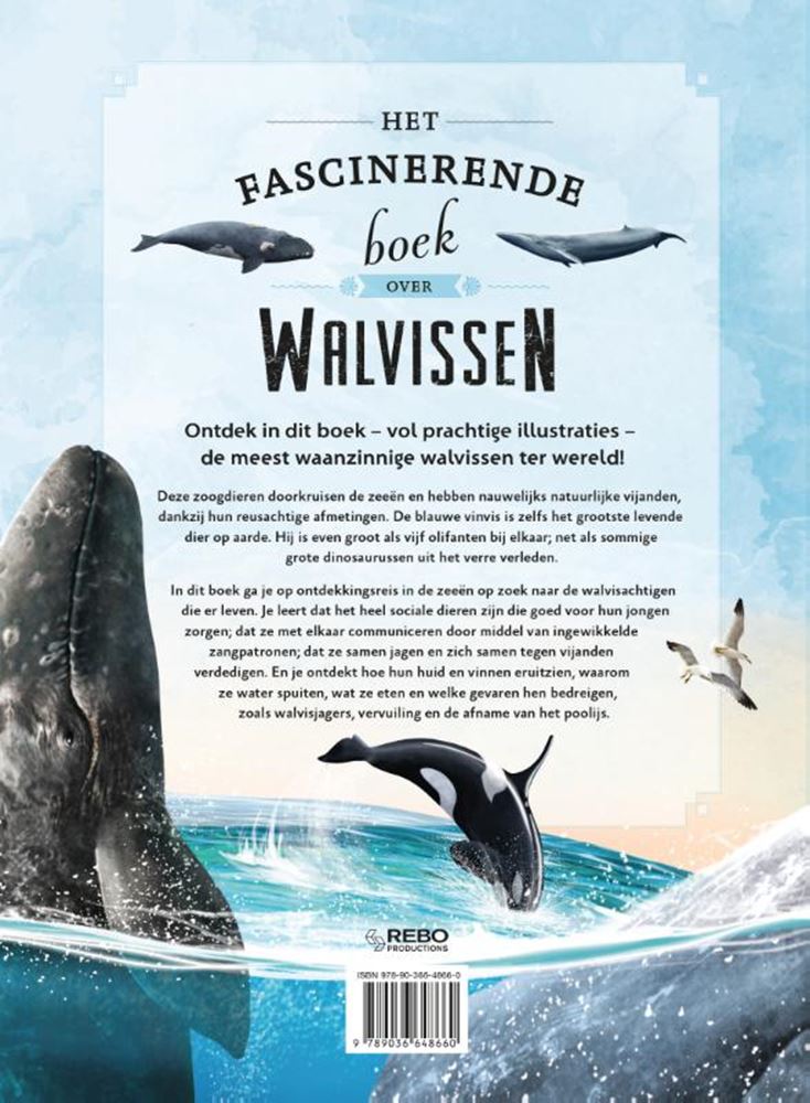 Le livre fascinant sur les baleines 6+
