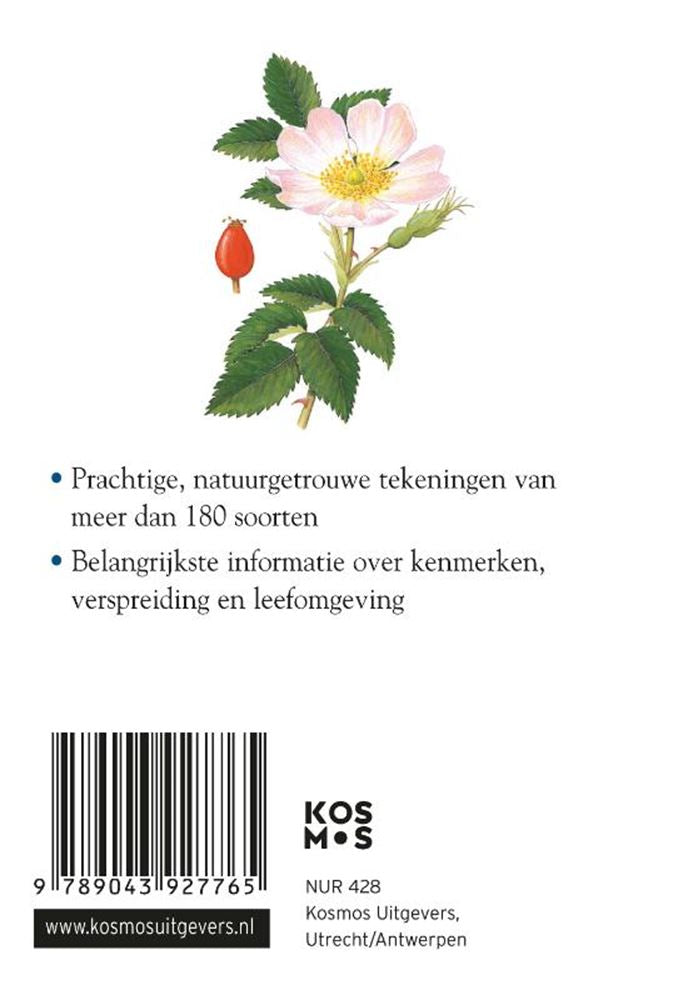 Guide compact : fleurs (pb)