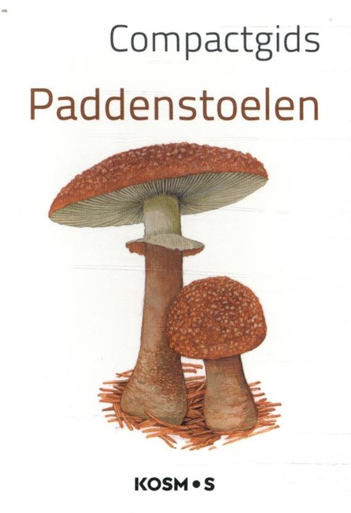 Guide compact : champignons (pb)