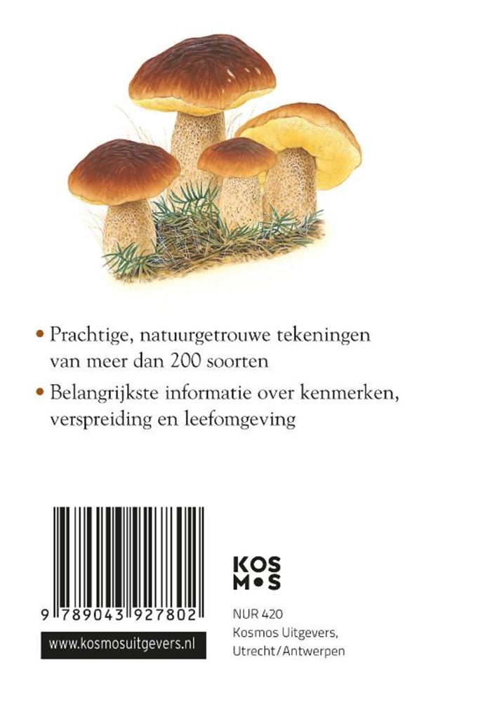 Guide compact : champignons (pb)