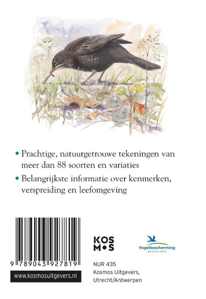 Guide compact : oiseaux du jardin (pb)