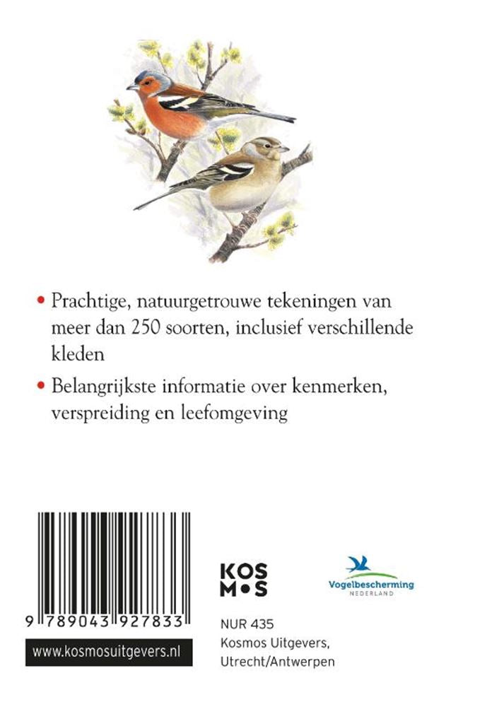 Guide compact : oiseaux (pb)