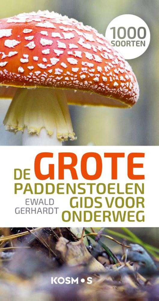 Le grand guide des champignons pour les déplacements