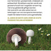 Le grand guide des champignons pour les déplacements