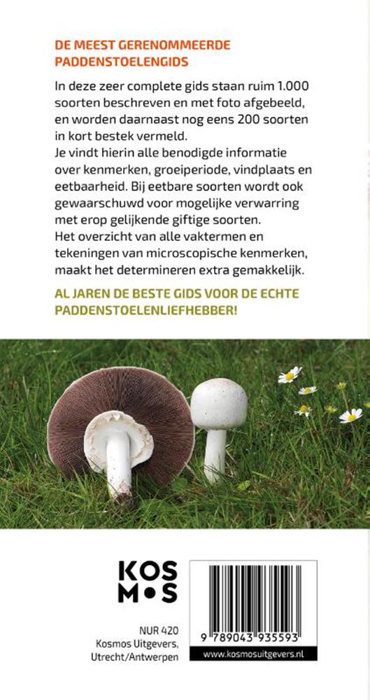 Le grand guide des champignons pour les déplacements