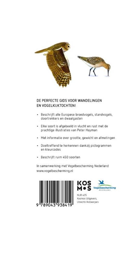 Guide de poche Hayman sur les oiseaux pour adultes
