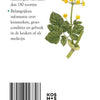 Guide compact des herbes pour adultes
