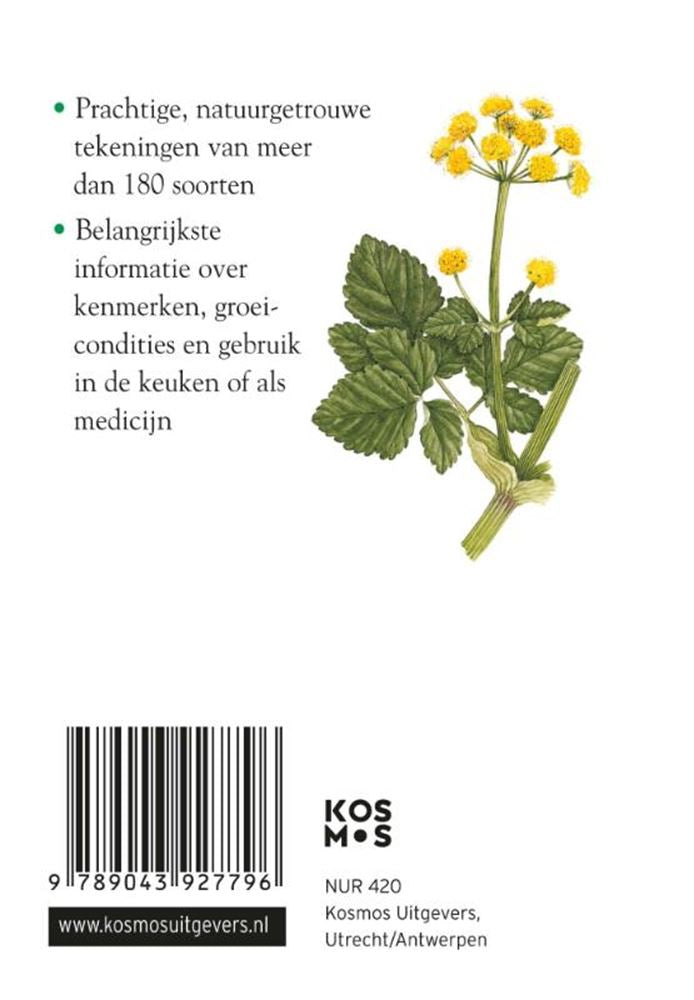 Guide compact des herbes pour adultes