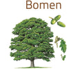 Guide compact des arbres pour adultes