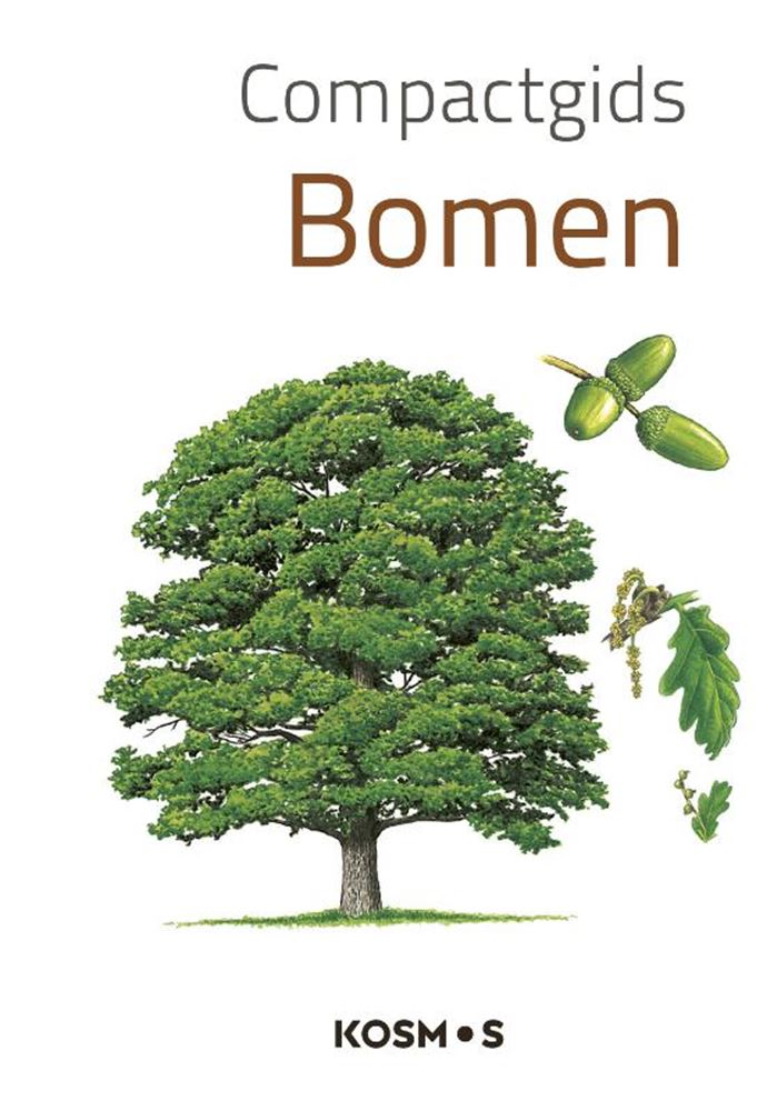 Guide compact des arbres pour adultes