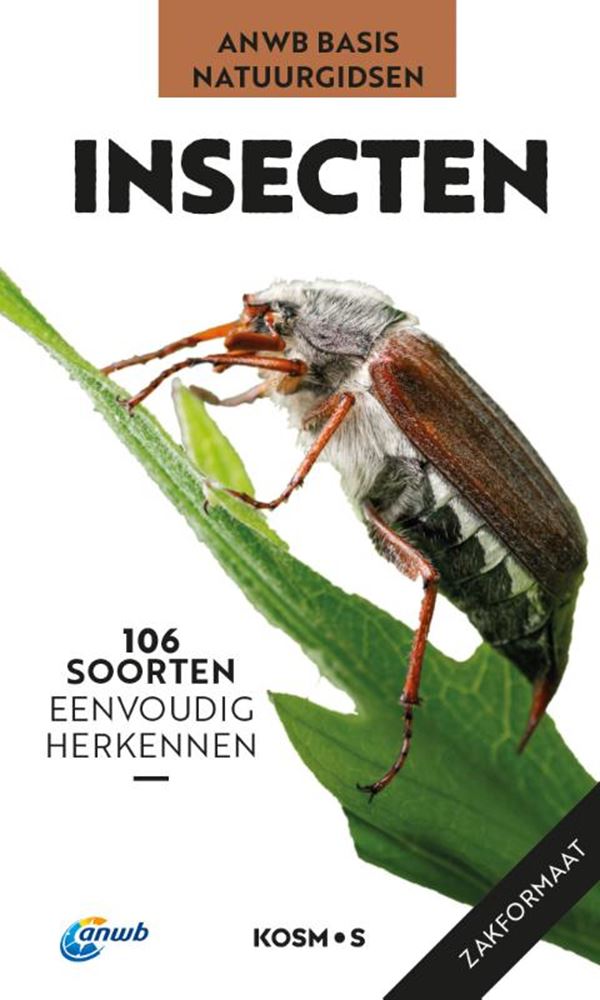 Guide nature de base Anwb - insectes