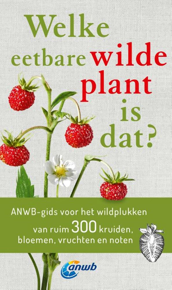 De quelle plante sauvage comestible s’agit-il ?