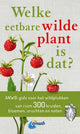 De quelle plante sauvage comestible s’agit-il ?