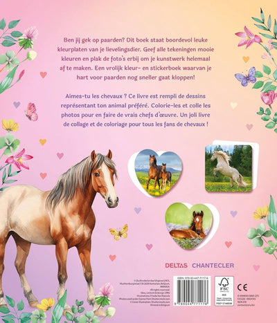 Défilé d'autocollants chevaux de rêve Deltas - livre de coloriage