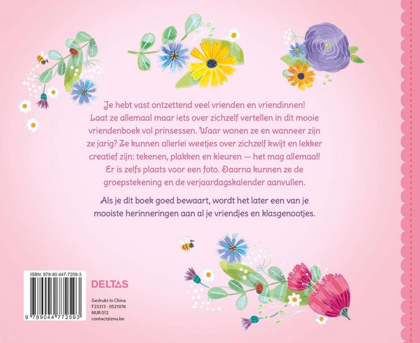 Doux livre d'amis princesse