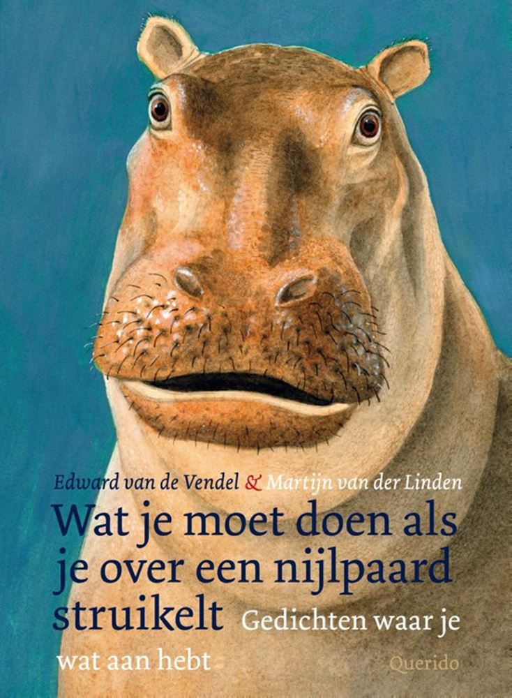 Que faire si vous rencontrez un hippopotame