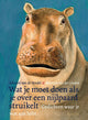 Que faire si vous rencontrez un hippopotame
