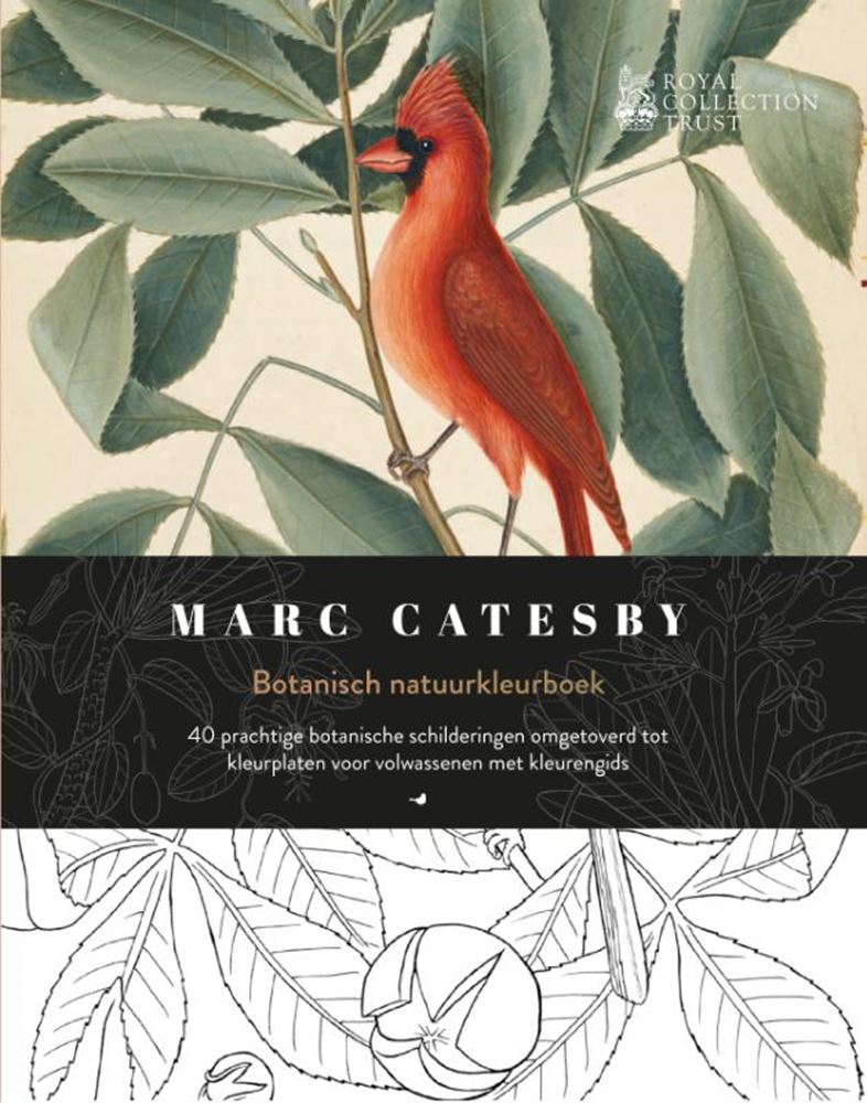 Livre de coloriage sur la nature botanique.