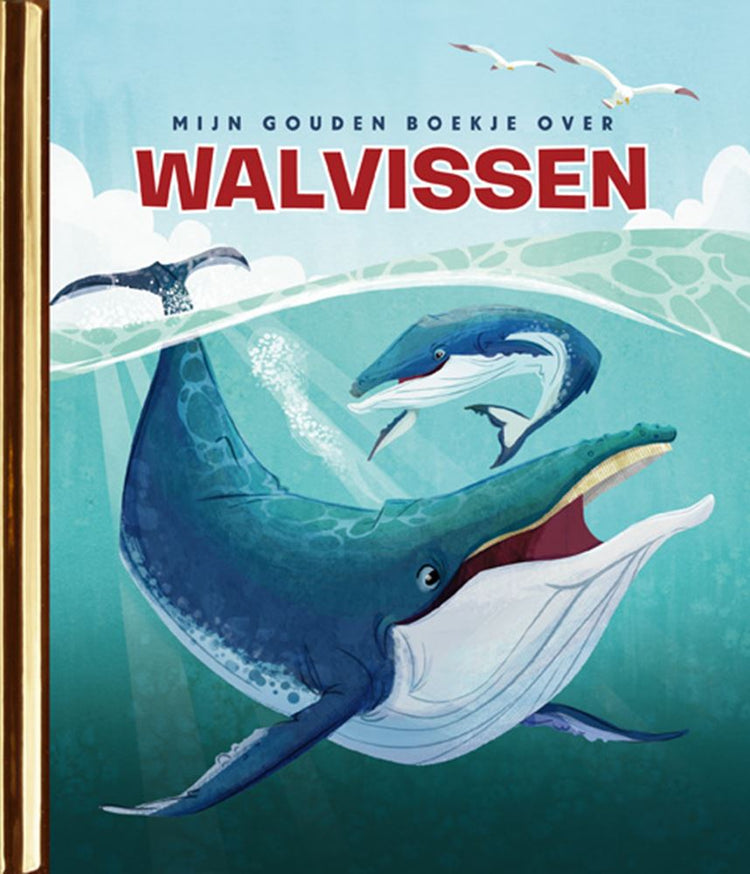 Mon livre d'or sur les baleines 4+