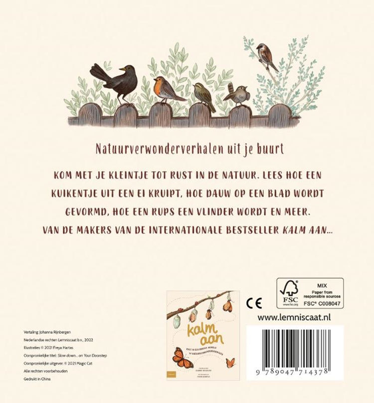 Nl - lemniscaat lemniscaat allez-y doucement...dans votre quartier. livre cartonné 2+