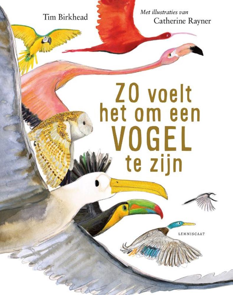 Voilà à quoi ça ressemble d'être un oiseau 9+
