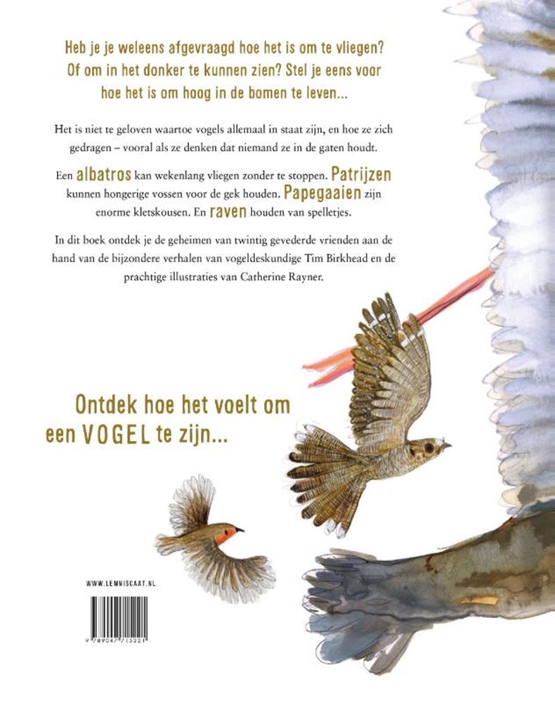 Voilà à quoi ça ressemble d'être un oiseau 9+