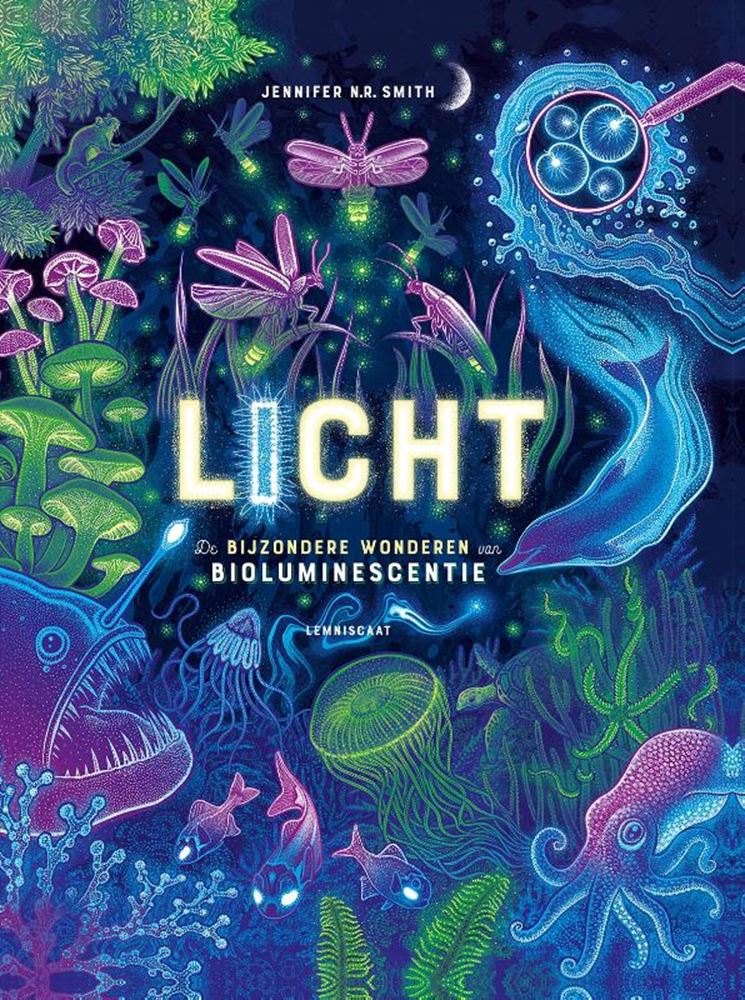 Lumière 10+