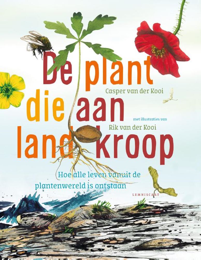 La plante qui rampait sur terre 9+