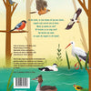 Quels oiseaux voyez-vous ? 2+