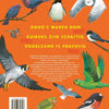 Tout ce que vous savez sur les oiseaux est faux !