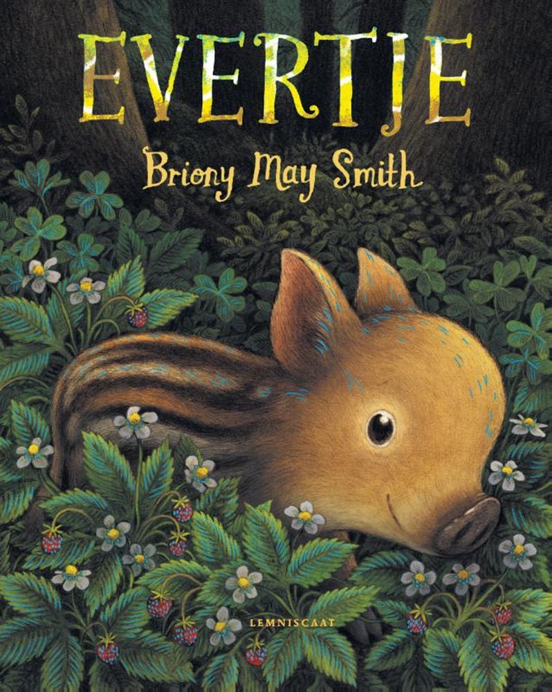 Livre d'images: evertje 4+