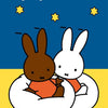 Cahier d'activités Miffy (étoiles). 2+