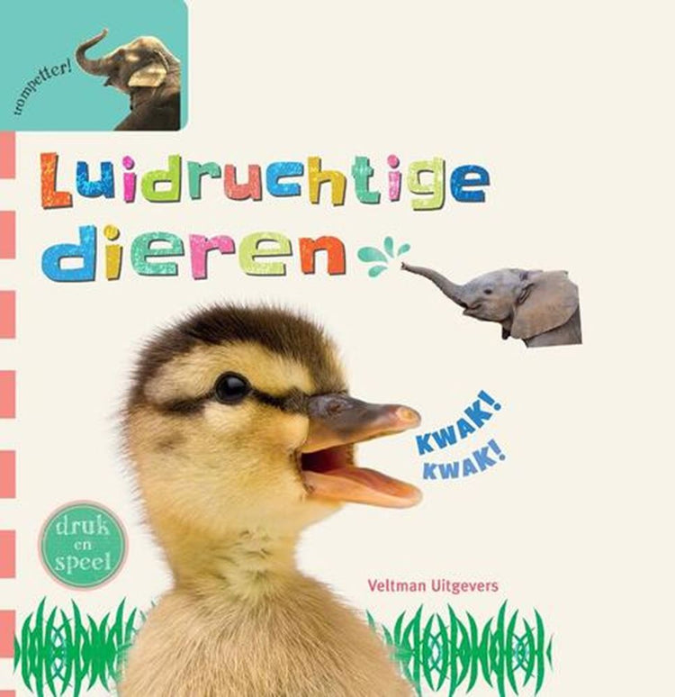 Livre sonore : animaux bruyants. 1+