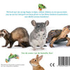 Livre tactile : pat ! 1+
