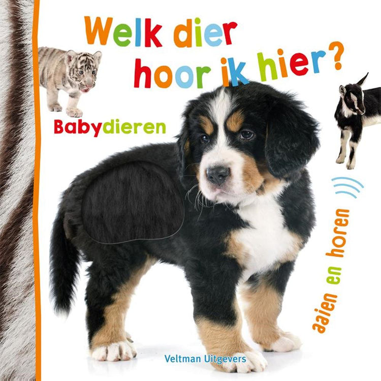 Quel animal est-ce que j'entends ici ? bébés animaux. 1+